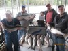 (05/04/2018) - Nice Striped Bass